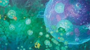 نانوذره های زیستی پتانسیل زیادی برای کاربردهای درمانی و تشخیصی دارند