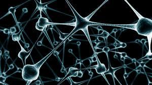 استفاده از داربست سه بعدی برای بهبود بقای نورون های مشتق از سلول های بنیادی