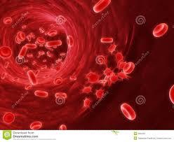 نقشی جدید و اعجاب انگیز برای ریه: خون سازی