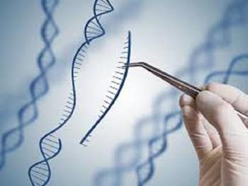 گذشته و آینده ژن درمانی