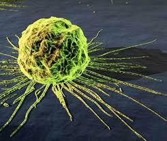 تخریب تومور از داخل بوسیله سلول های ناقل ویروس