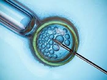 استفاده از جنین های فریز شده برای ایجاد بارداری طی IVF موفقیت آمیزتر است