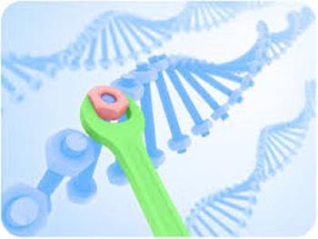 بهبود انتقال DNA در ژن درمانی