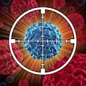ایمنی درمانی سرطان: سلول های T احیا شده به سوخت نیاز دارند