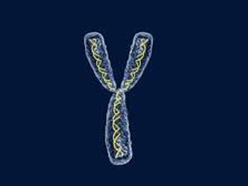 نقش حفاظت کندگی ژن کروموزوم Y برای لوکمیا
