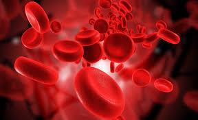 سلول های بنیادی برای بهبود اختلالات خونی