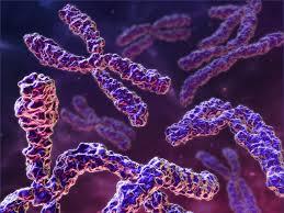 کشف جزئیات بیشتر ژنتیک سندرمX شکننده