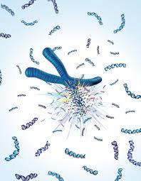 ارتباط بازآرایی کروموزوم 3q26.2 و پیش آگهی ضعیف لوکمیای میلوئید مزمن