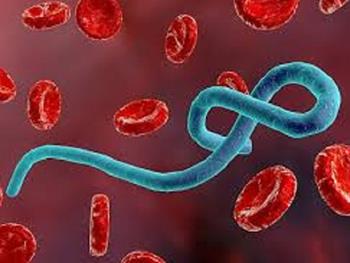 راهی جدید برای مبارزه با ابولا