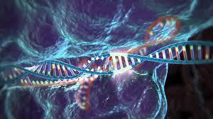 مهندسی سلول های بنیادی انسانی با استفاده از القا ژنی حذفی به کمک CRISPR/Cas9