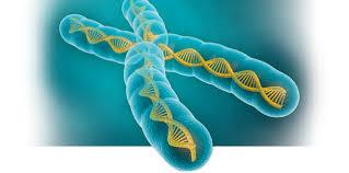 ادغام ژنی فعالیت سلولی را به سمت سرعت بیشتر سوق داده و منجر به برخی از سرطان ها می شود