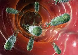 باکتری های سیستم گوارشی خطر عفونت های خطرناک بعد از شیمی درمانی را پیش بینی می کنند