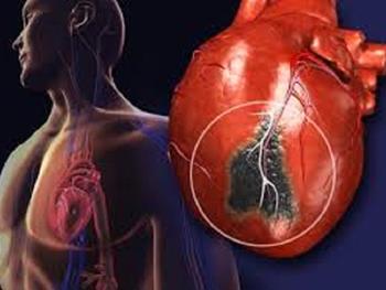 ترسیم مکانیسم های مولکولی حیاتی برای ارائه رویکرد درمانی برای بیماری های قلبی