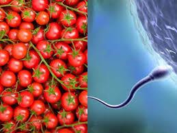 مواد غذایی افزایش دهنده اسپرم برای کمک به زوج های نابارور 