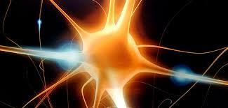 شبکه های عصبی و امیدواری برای ترمیم آکسونی در مغز