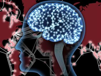 مغز انسان دارای ریتم خاصی است(استفاده از سیرکویتوئیدهای مشتق از سلول های بنیادی عصبی)