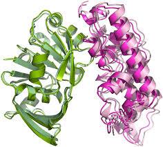 چگونه تغییرات ظریف پروتئینی می تواند منجر به مشکلات بالینی می شود...