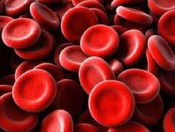 پیشرفت در درک چگونگی تکوین سلول های قرمز خونی