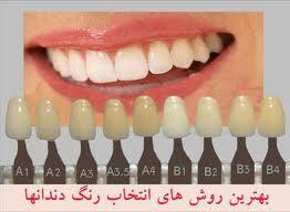 سمینار سلول‌های بنیادی و دندانپزشکی بازساختی برگزار می‌شود
