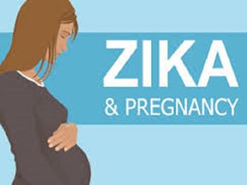آسیب مغزی ناشی از زیکا ممکن است در زمان بارداری قابل تشخیص نباشد