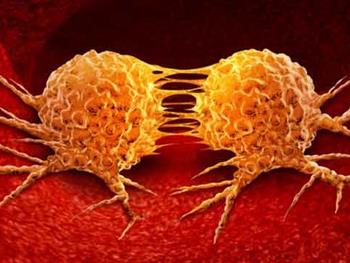 چگونگی مهار متاستاز سلول‌های تومور 