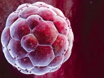 بازآفرینی جنین انسانی با استفاده از سلول های بنیادی