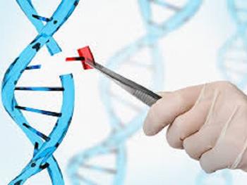 فناوری CRISPR برای درمان کم خونی داسی شکل