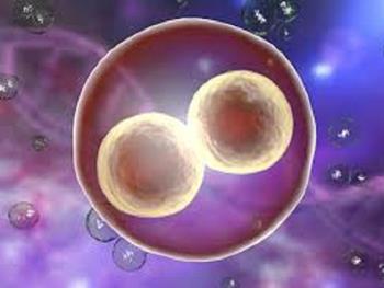 تنظیم RNA برای تمایز سلول های بنیادی جنینی حیاتی است