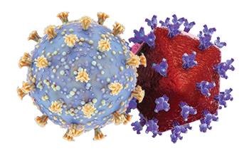 تأثیر HIV سرکوب نشده بر پاسخ سلول‌های T به COVID-19