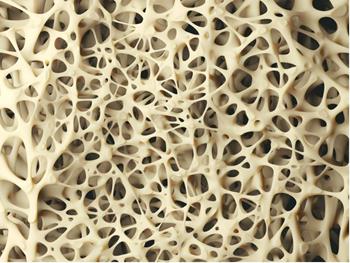 امواج صوتی سلول‌های بنیادی را به استخوان تبدیل می‌کنند