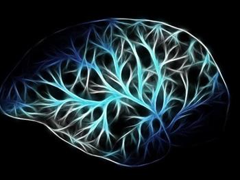 چگونه حجم نواحی مغز در بیماری پارکینسون تغییر ‌‌می‌کند؟