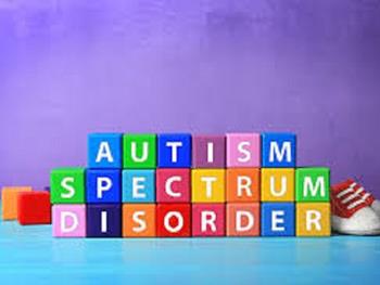 ارگانوئیدهای مغزی انسانی برای تقلید اختلالات طیف اوتیسم