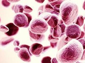 عفونت های شدید تولید سلول های خونی را مختل می کند