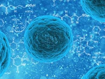 سلول‌های لوسمی ‌لنفوبلاستیک حاد می‌توانند عصب‌زایی را مختل کنند