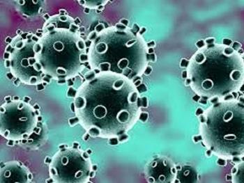 ویروس  SARS-CoV-2  التهاب، طوفان سیتوکینی و استرس را در سلول های ریوی آلوده القا می کند