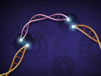 کمک به درمان تالاسمی با استفاده از اصلاح ژنتیکی