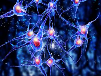ترمیم نورون‌ها در آسیب نخاعی به کمک داروی کلسترول 