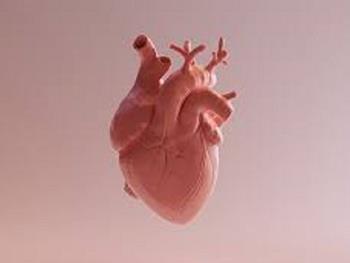 زیست پرینت سه بعدی قلب انسان