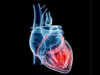 استفاده از تکه های قلبی مهندسی شده سازش پذیر و چهار بعدی برای درمان انفارکته میوکاردی