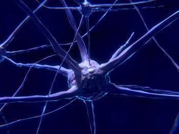 از دست دادن سلول‌های عصبی، عامل اصلی خواب‌آلودگی بیماران آلزایمر 
