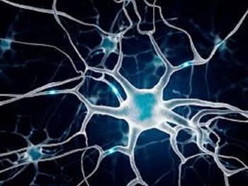یافته هایی جدید در زمینه تکوین سلول های عصبی