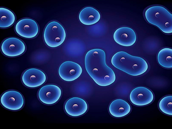 نگاهی دقیق ‌تر به مکانسیم دارو‌های محرک سلول‌های بنیادی خونساز