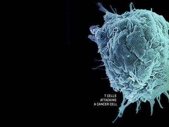 استفاده از سلول‌های T به عنوان سپری در  برابر تومورهای جامد
