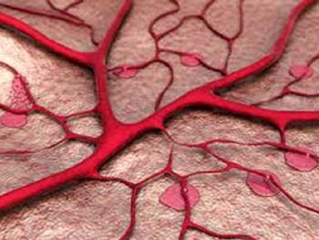 روشی برای تولید سلول های عروق خونی از سلول های پوستی برای یافتن راهی برای آهسته کردن روند پیری