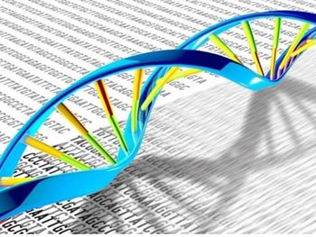 شناسایی عوامل کلیدی دخیل در مکانیسم ترمیم DNA