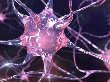 مطالعه نحوه پیری سلول‌های بنیادی عصبی در مغز 