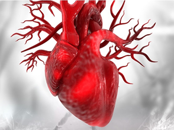 کشف ژن‌های جدید ایجاد کننده بیماری‌های قلب و اختلالات عروق مغزی