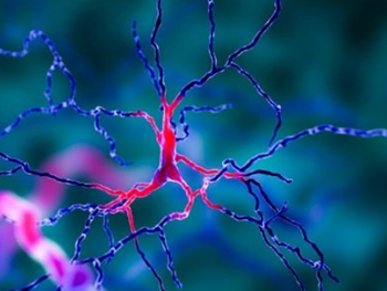 تولید نورون‌های نوراپی نفرین انسانی از سلول‌های بنیادی 