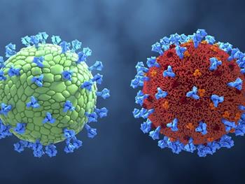 ارزیابی تأثیر جهش‌های خطرناک گونه SARS-CoV-2 بر پاسخ‌های سلول T CD8+