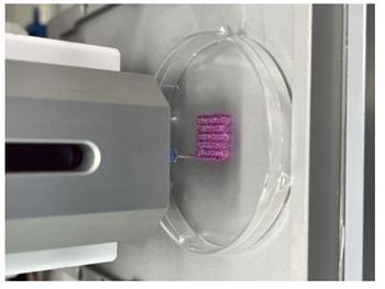 استفاده از فناوری چاپ زیستی سه بعدی برای از بین بردن سلول‎های سرطانی 